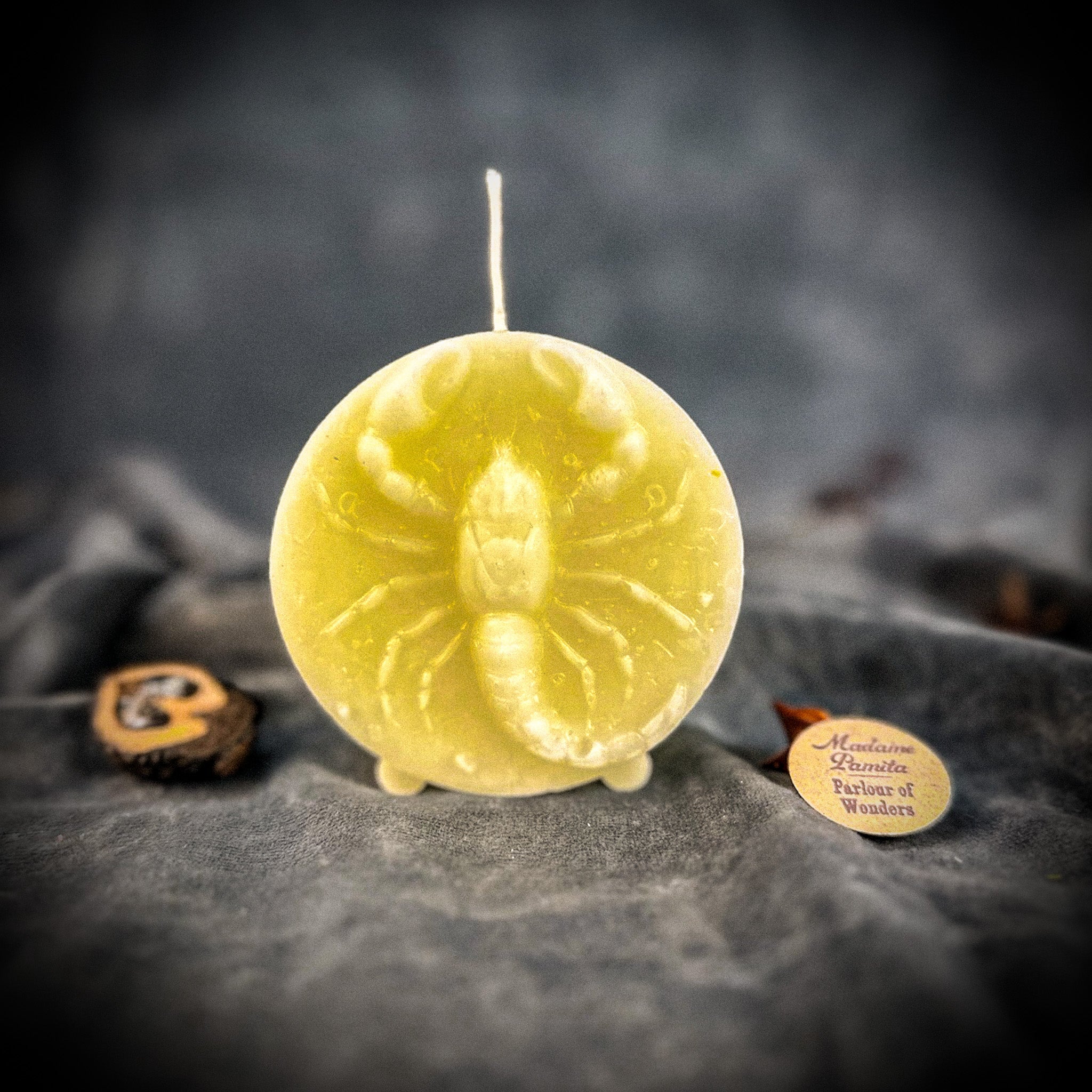Beeswax Scorpio Scorpion Zodiac Spell Candle - Transformation, Power & Intuition