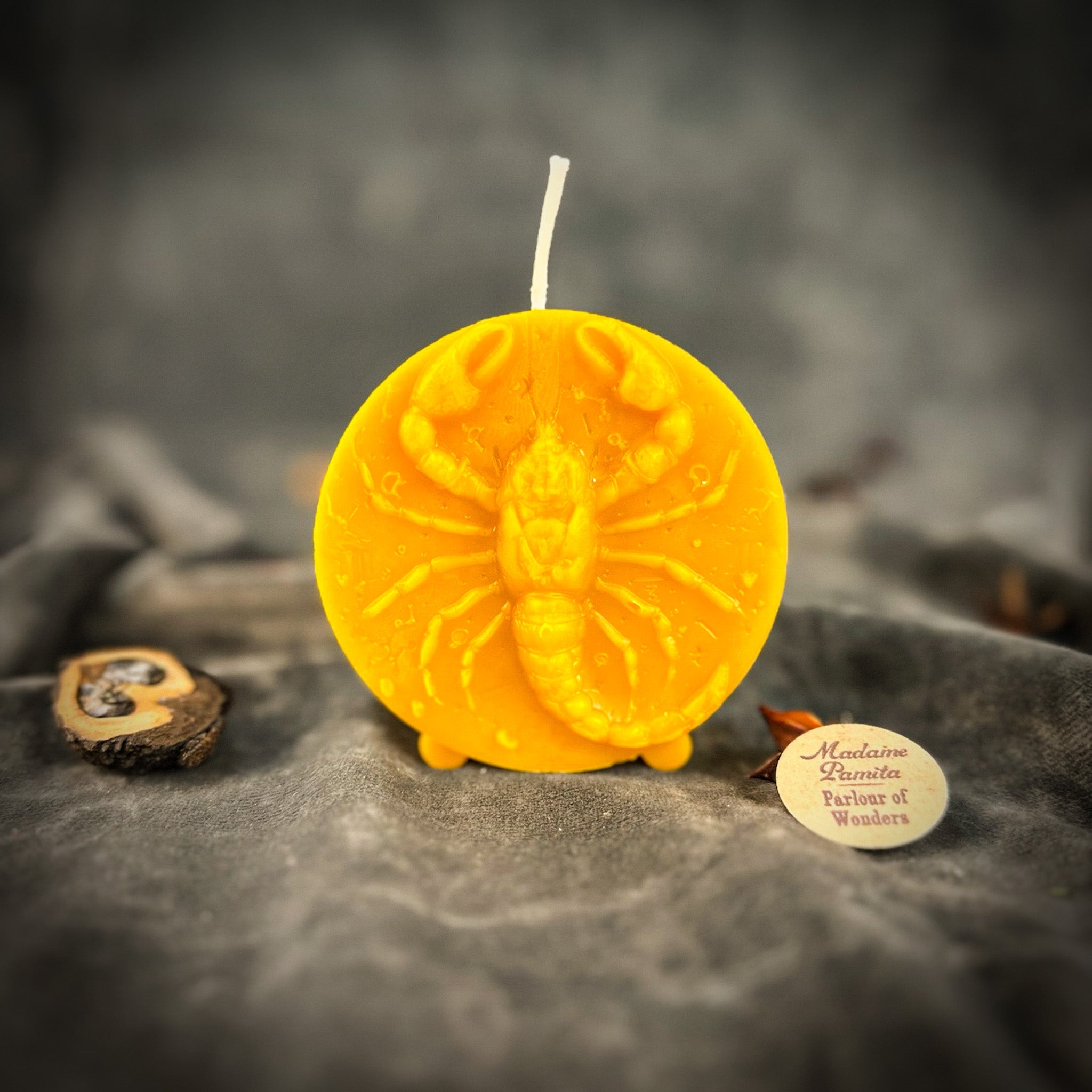 Beeswax Scorpio Scorpion Zodiac Spell Candle - Transformation, Power & Intuition