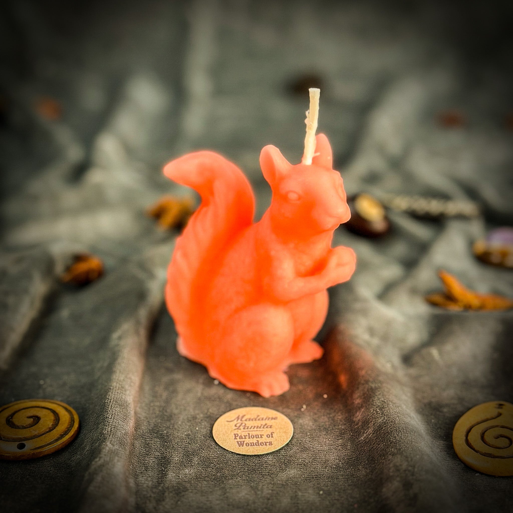 Squirrel of Abundance Candle Spell Kit - Prosperity & Wise Investments Magic