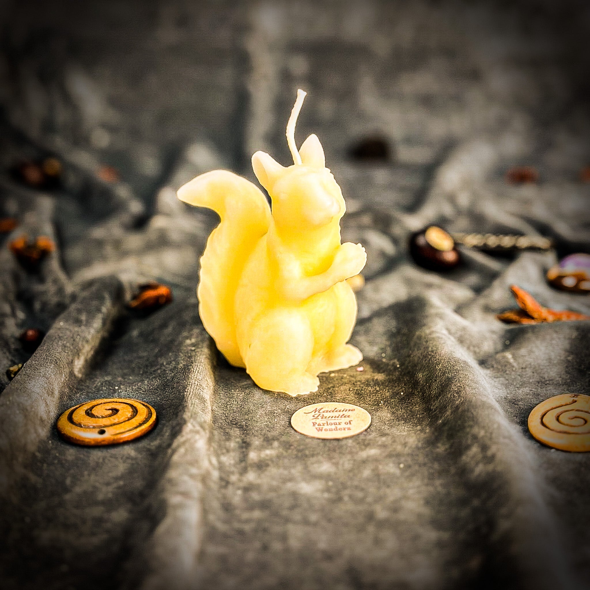 Squirrel of Abundance Candle Spell Kit - Prosperity & Wise Investments Magic