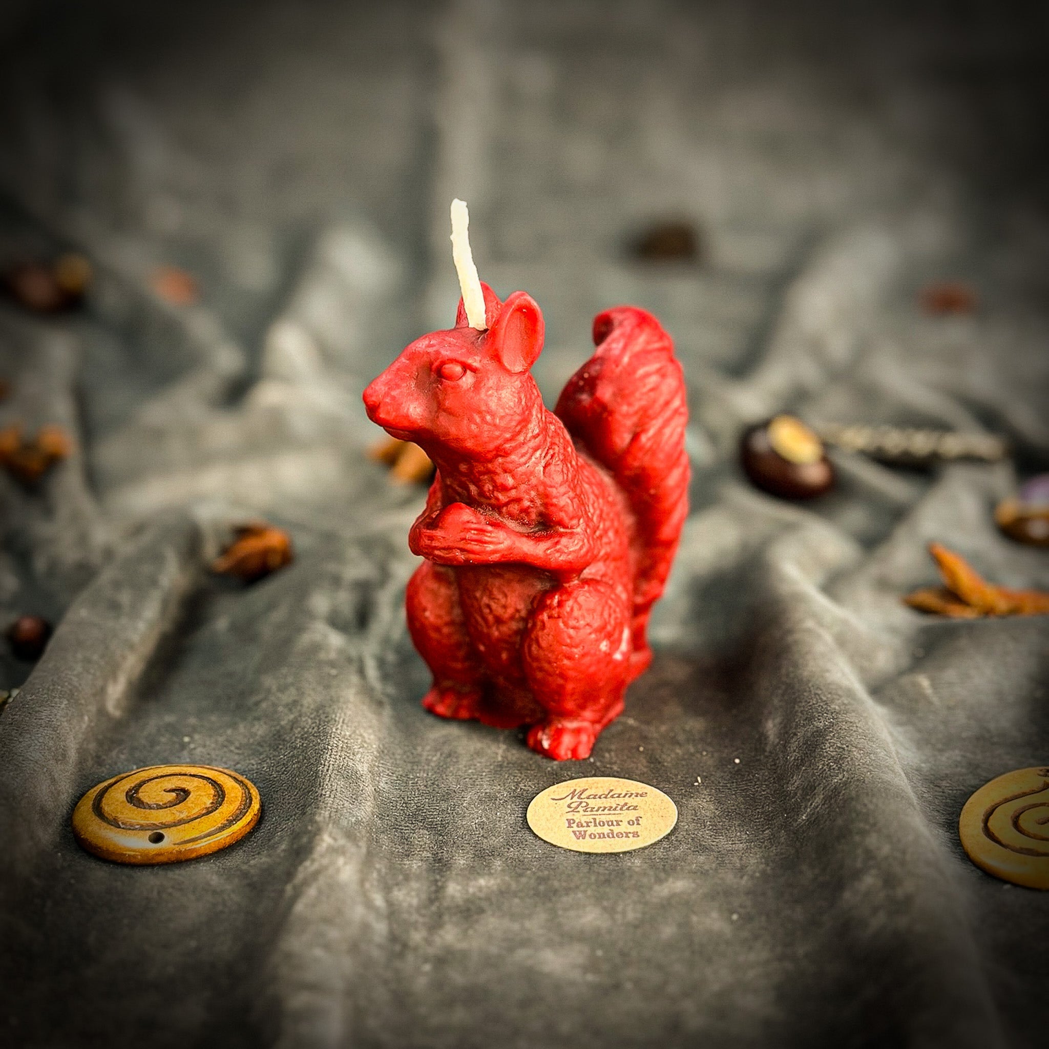 Squirrel of Abundance Candle Spell Kit - Prosperity & Wise Investments Magic