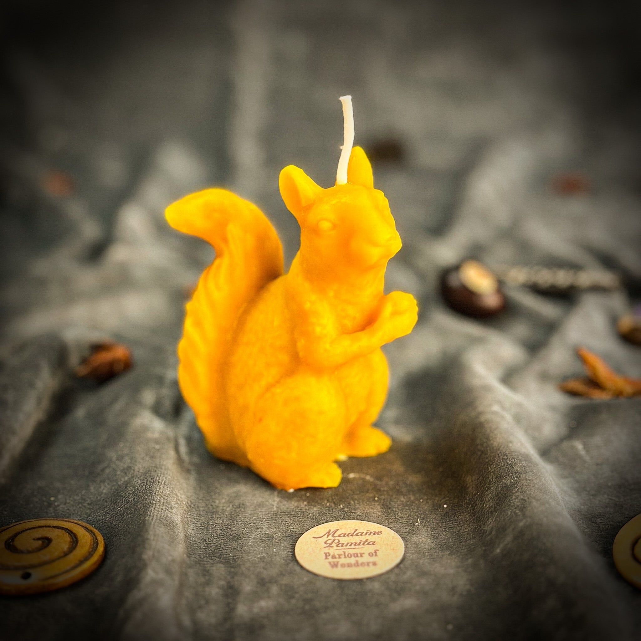 Squirrel of Abundance Candle Spell Kit - Prosperity & Wise Investments Magic