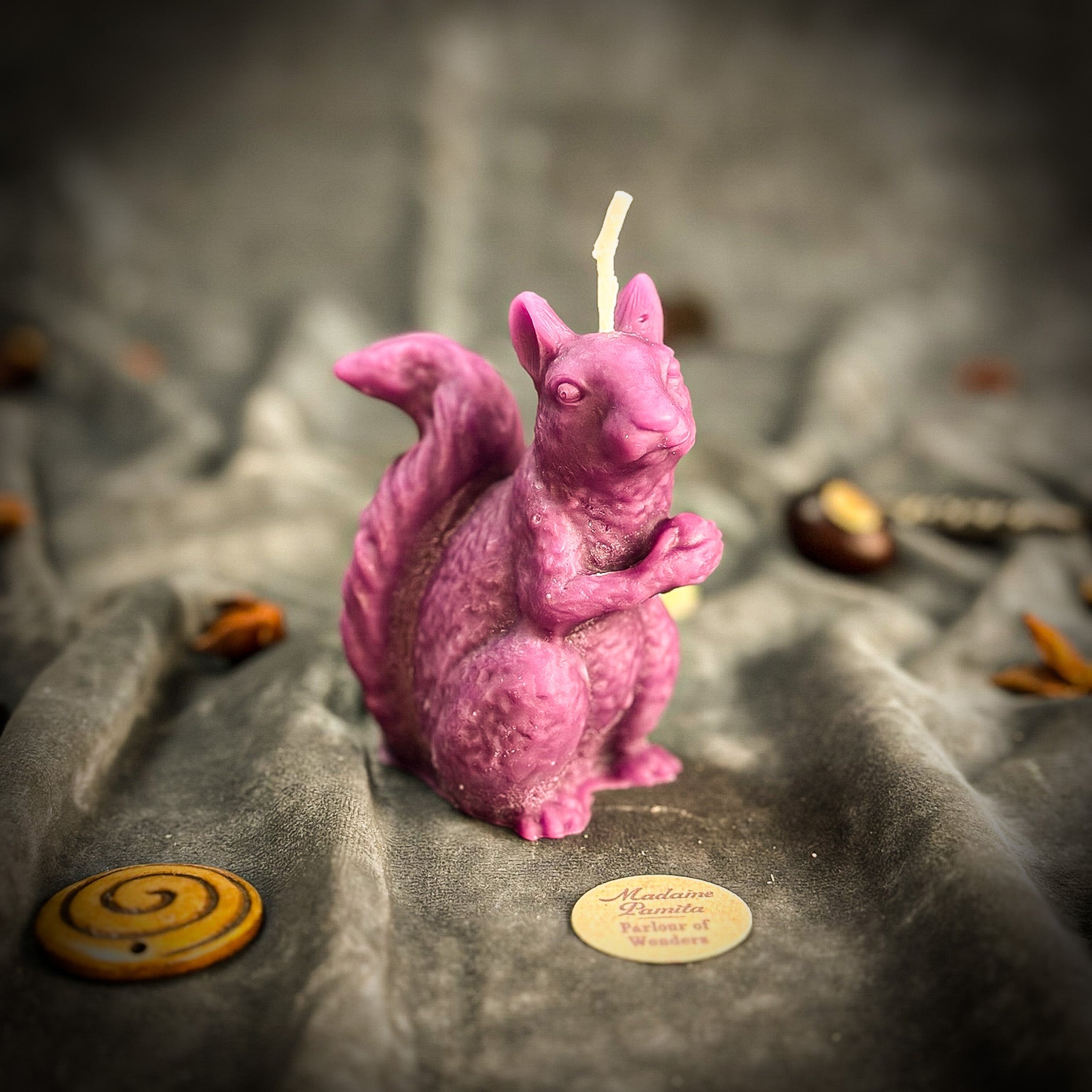 Squirrel of Abundance Candle Spell Kit - Prosperity & Wise Investments Magic