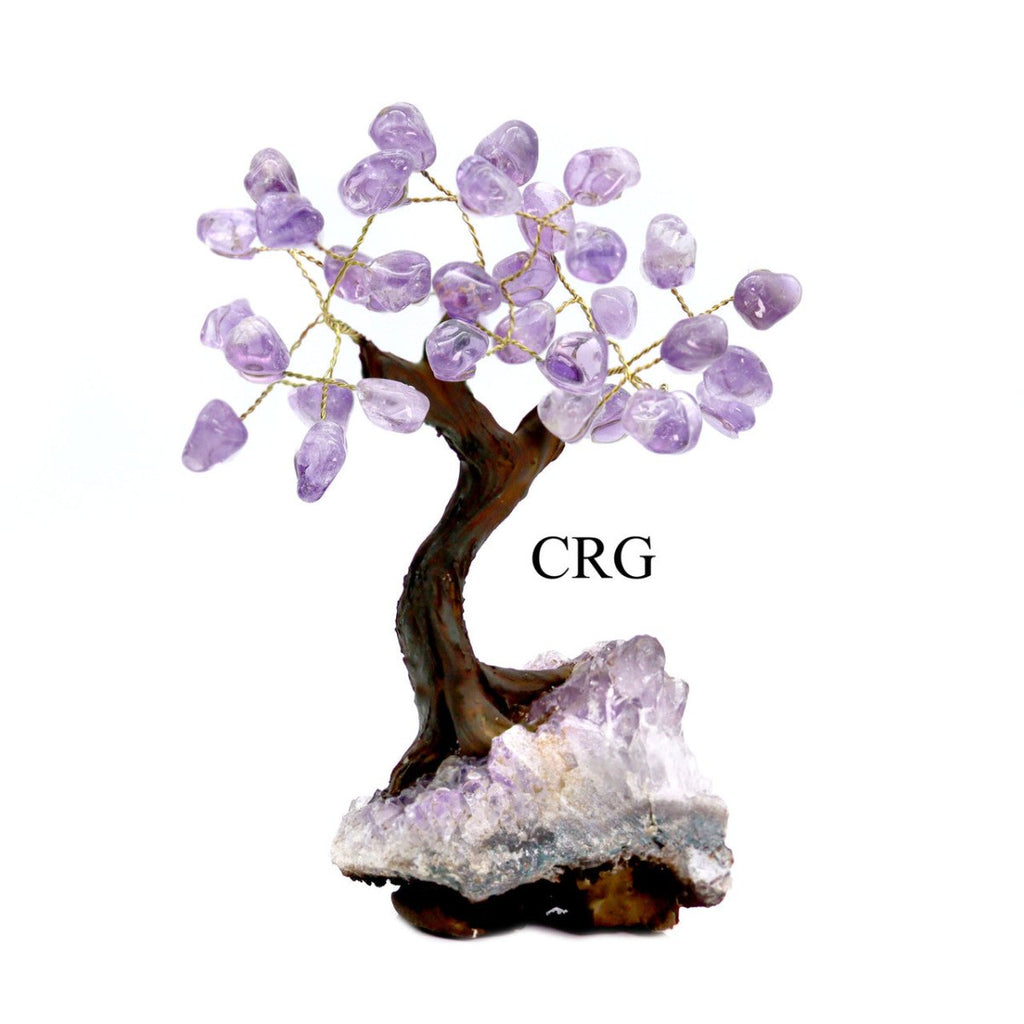 Brazilian Amethyst Bonsai Tree with Crystal Base / SIZE #2 (6.5"-7.5" AVG)