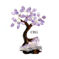 Brazilian Amethyst Bonsai Tree with Crystal Base / SIZE #2 (6.5"-7.5" AVG)