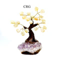 Brazilian Citrine Bonsai Tree with Crystal Base / SIZE #1 (5.5"-6.5" AVG)