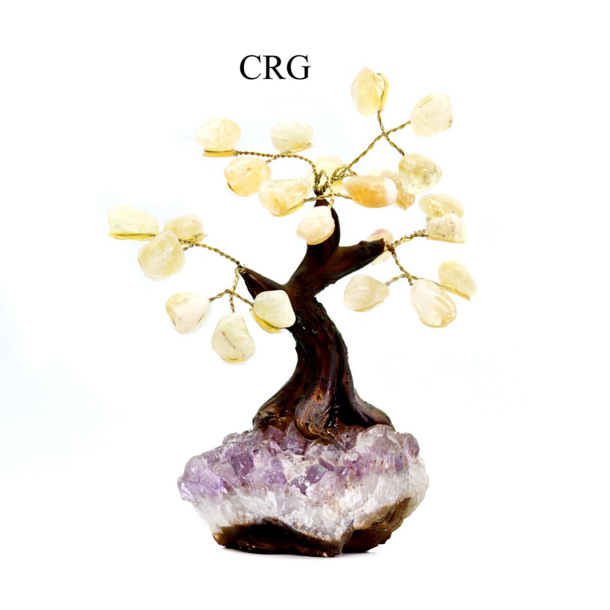 Brazilian Citrine Bonsai Tree with Crystal Base / SIZE #1 (5.5"-6.5" AVG)