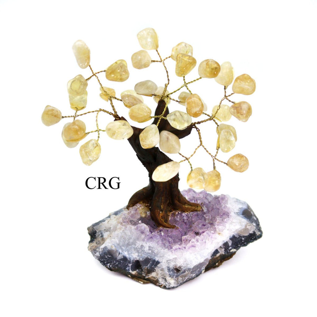 Brazilian Citrine Bonsai Tree with Crystal Base / SIZE #2 (6.5"-7.5" AVG)