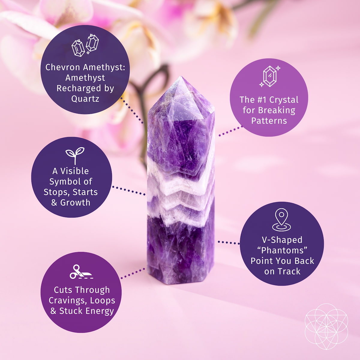 Cycle Breaker - Chevron Amethyst Point of Transformation