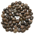 Chiastolite Tumbled 1 LB.