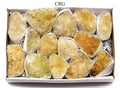 Citrine Clusters B GRADE - Medium Flat