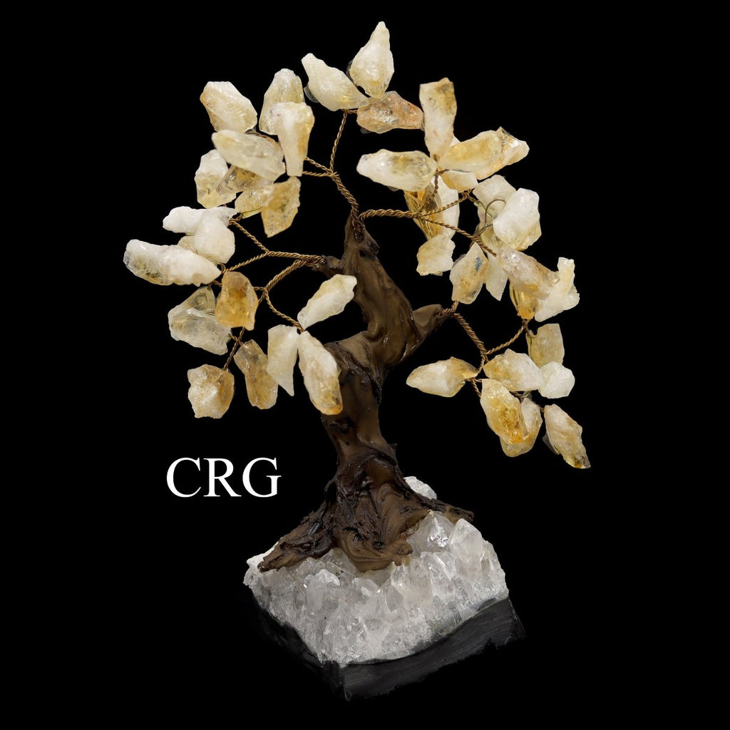 Citrine Tree With Rough Chips On Druzy Base #3 (5.5" - 6.5")