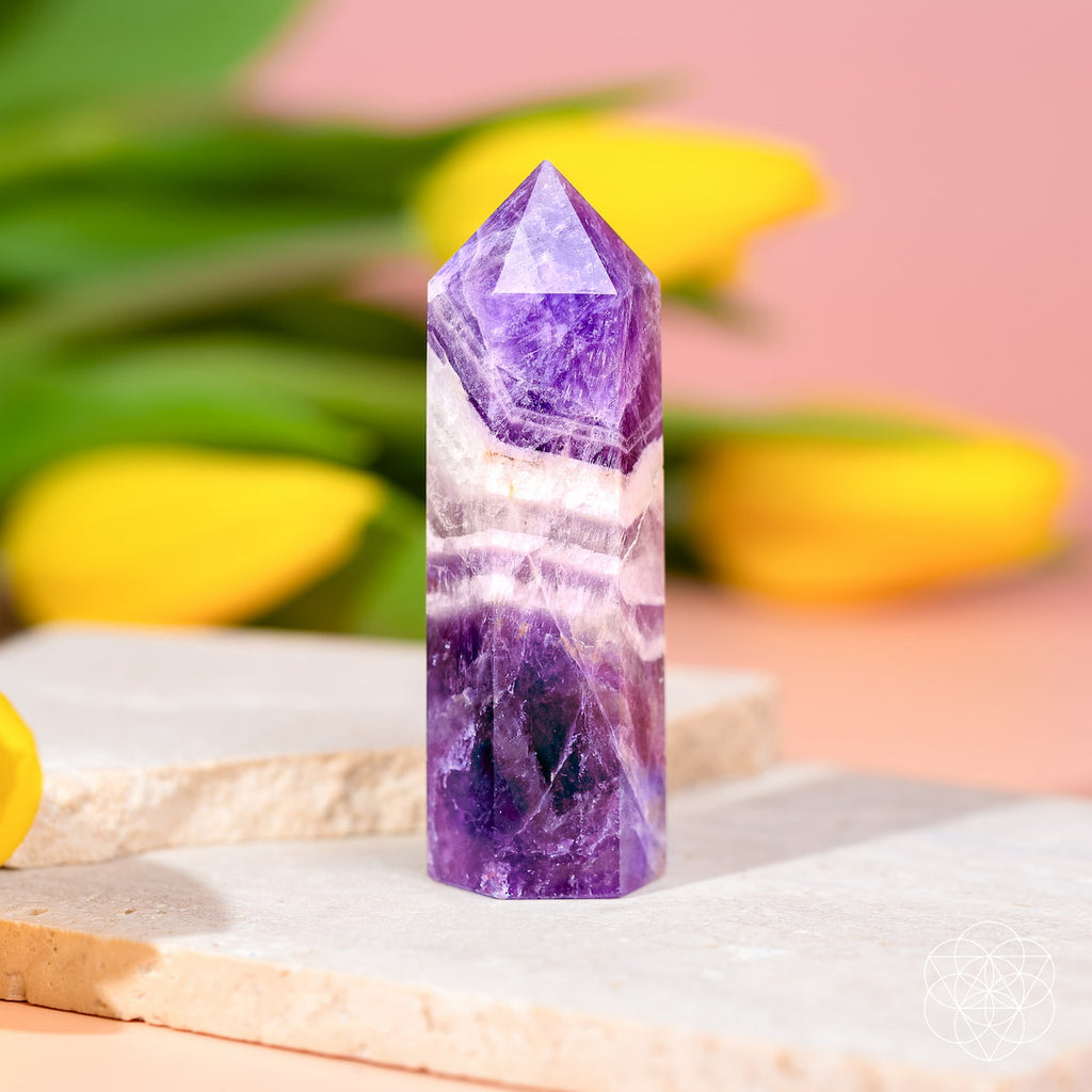Cycle Breaker - Chevron Amethyst Point of Transformation