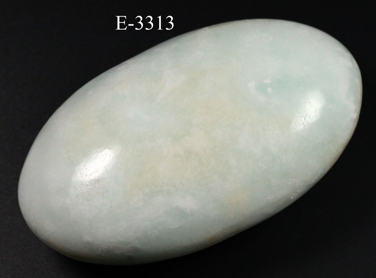 E-3313 Polished Caribbean Calcite Palm Stone -9.1 oz.