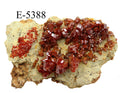 E-5388 Morocco Vanadinite Crystal 41.9 g