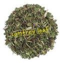 Comfrey Leaf | Tissue Repair & Bone Support