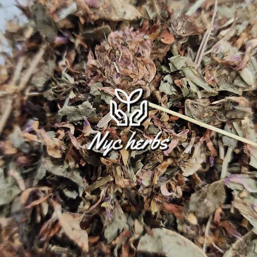 Red Clover