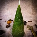 Beeswax Money Maker Spell Candle - Prosperity & Abundance Magic