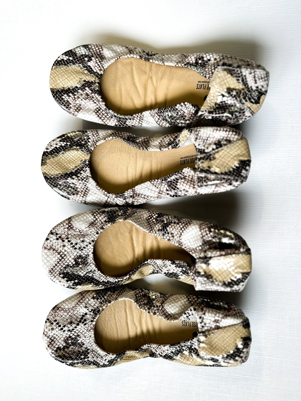 Desert Snake