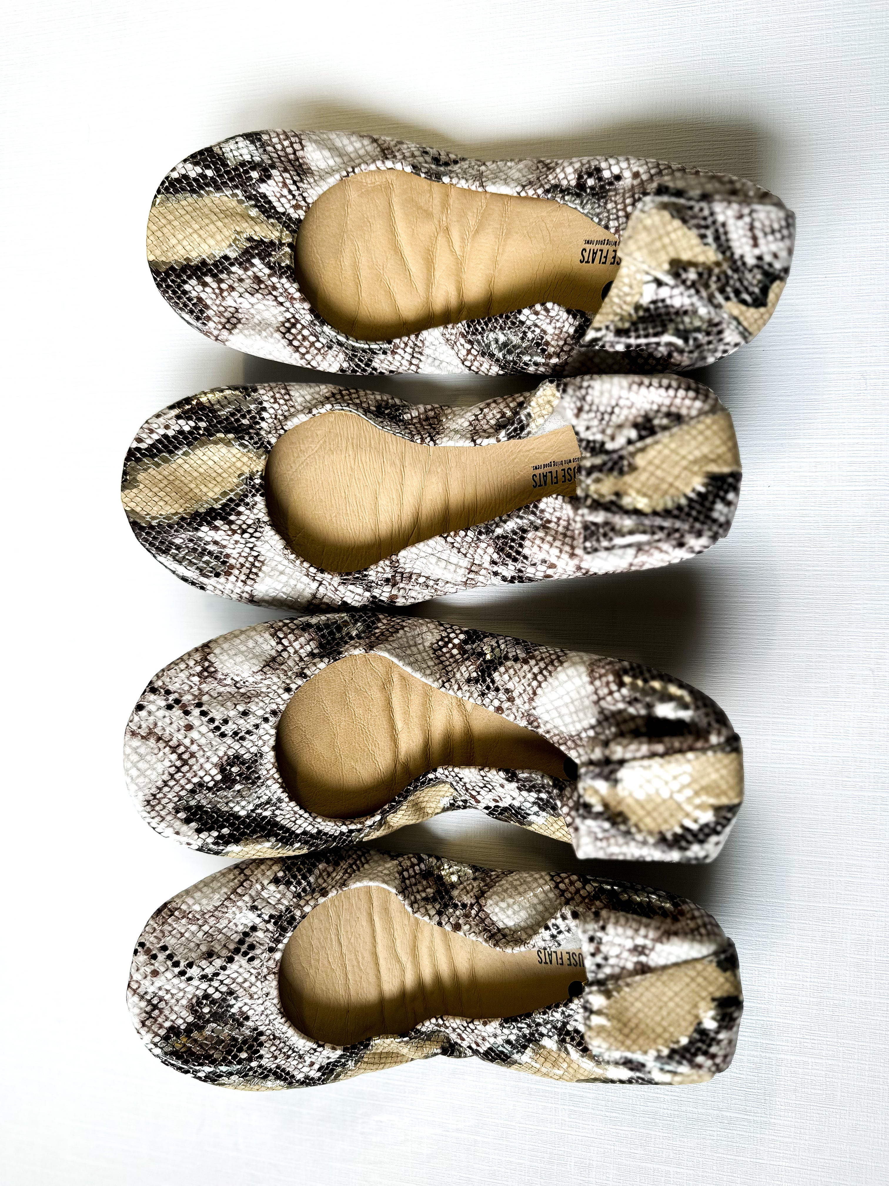 Desert Snake