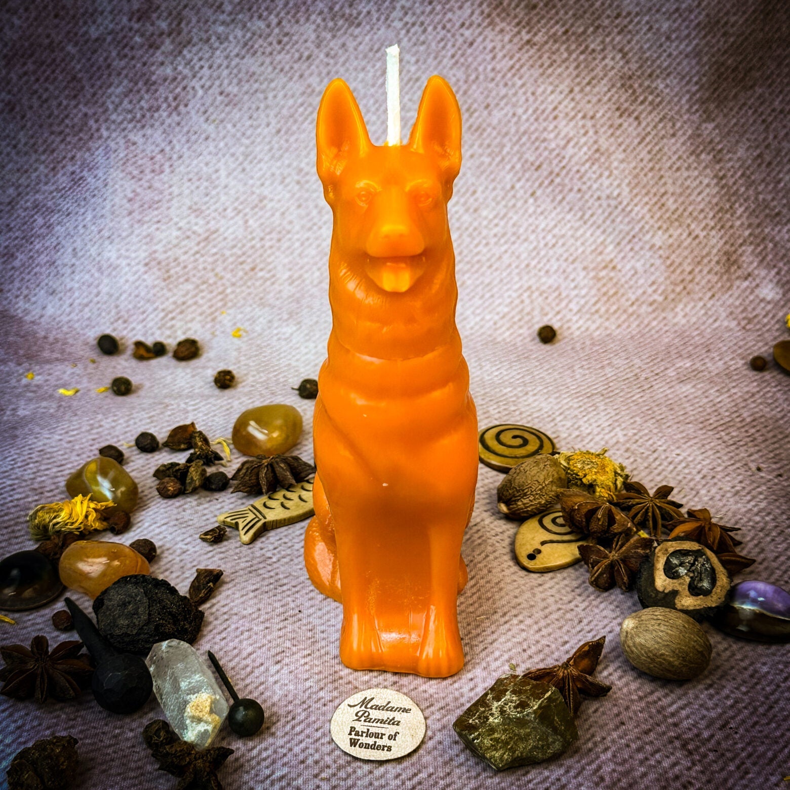 Faithful Dog Candle Spell Kit - Loyalty & Fidelity Magic