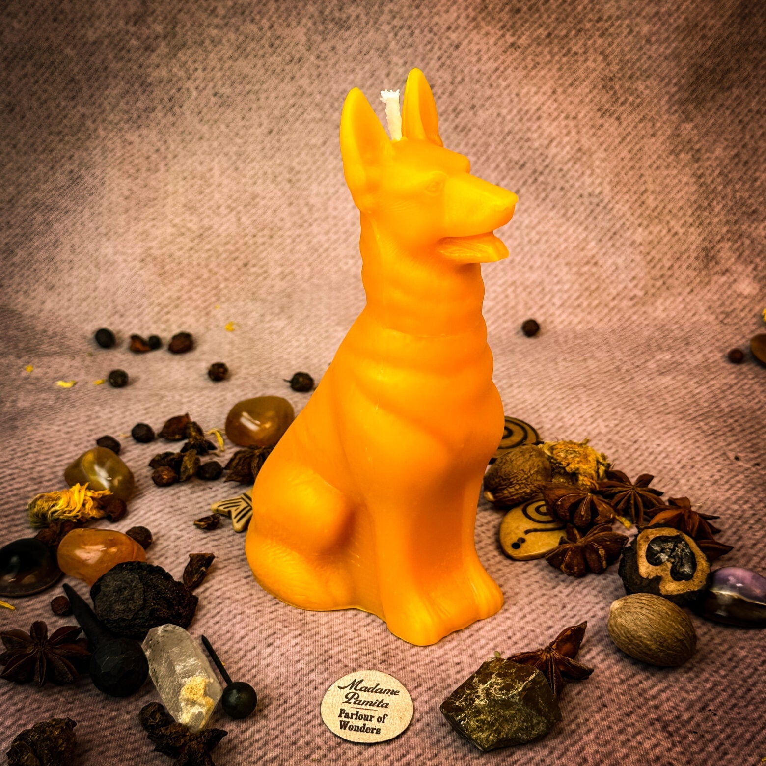 Faithful Dog Candle Spell Kit - Loyalty & Fidelity Magic