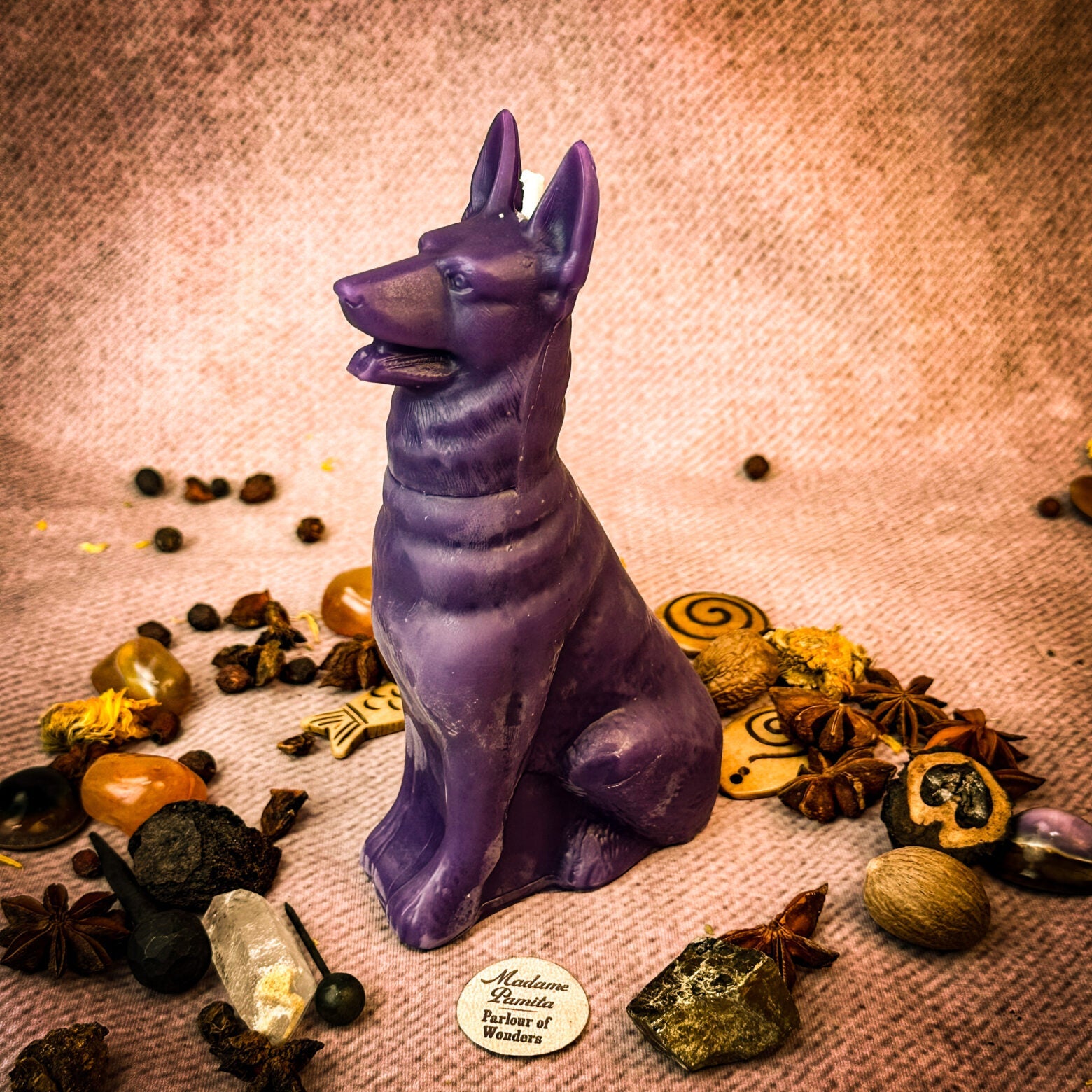 Faithful Dog Candle Spell Kit - Loyalty & Fidelity Magic