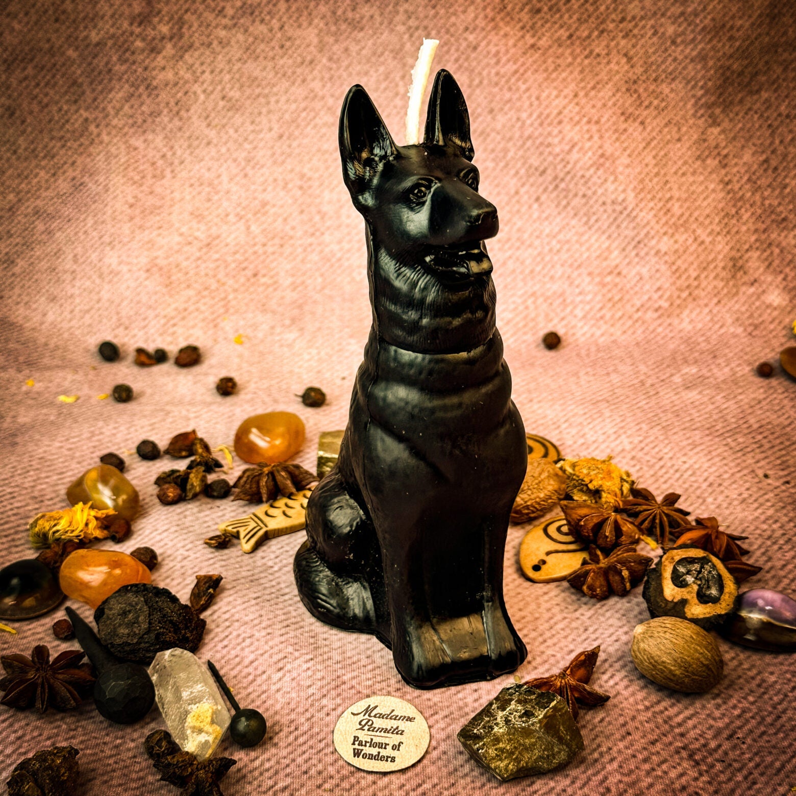 Faithful Dog Candle Spell Kit - Loyalty & Fidelity Magic