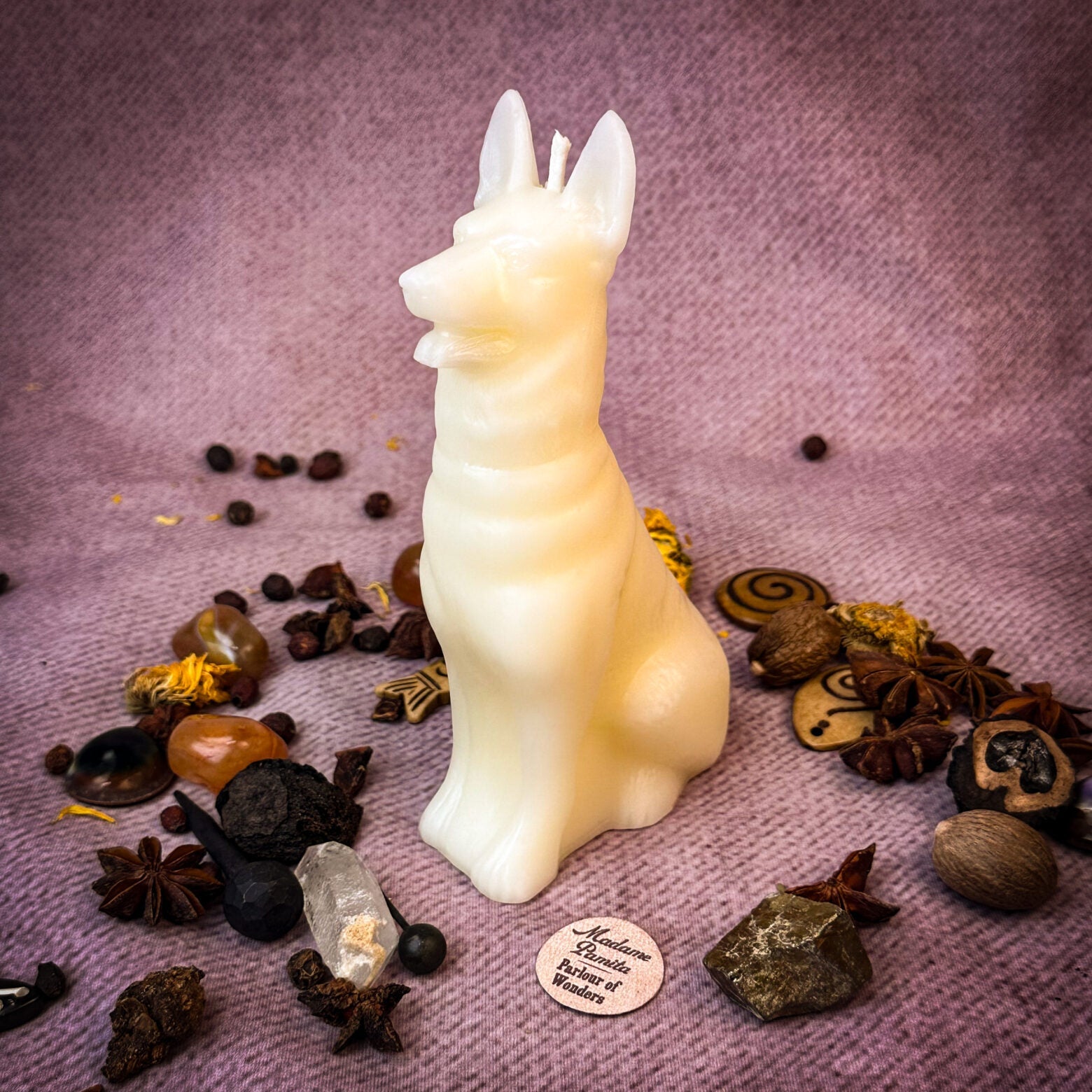 Faithful Dog Candle Spell Kit - Loyalty & Fidelity Magic