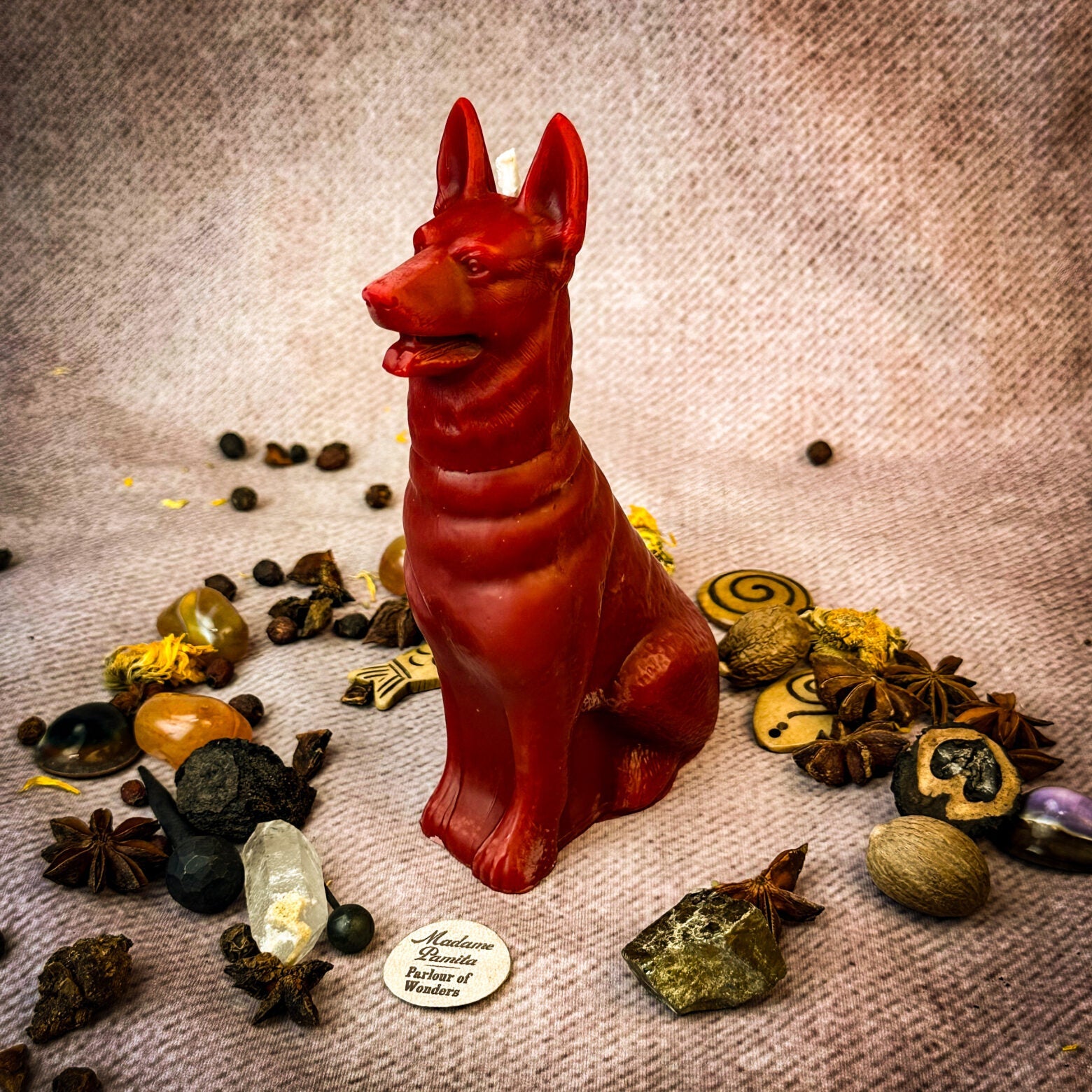 Faithful Dog Candle Spell Kit - Loyalty & Fidelity Magic