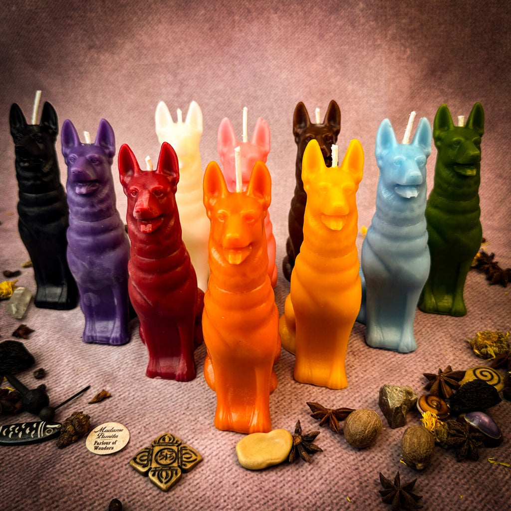 Beeswax Faithful Dog Spell Candle - Loyalty, Fidelity & Unconditional Love