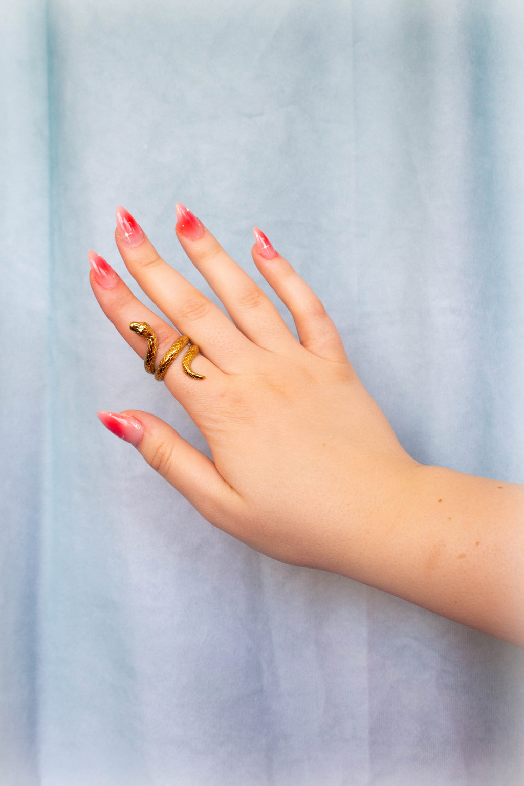 Titanium Snake Ring