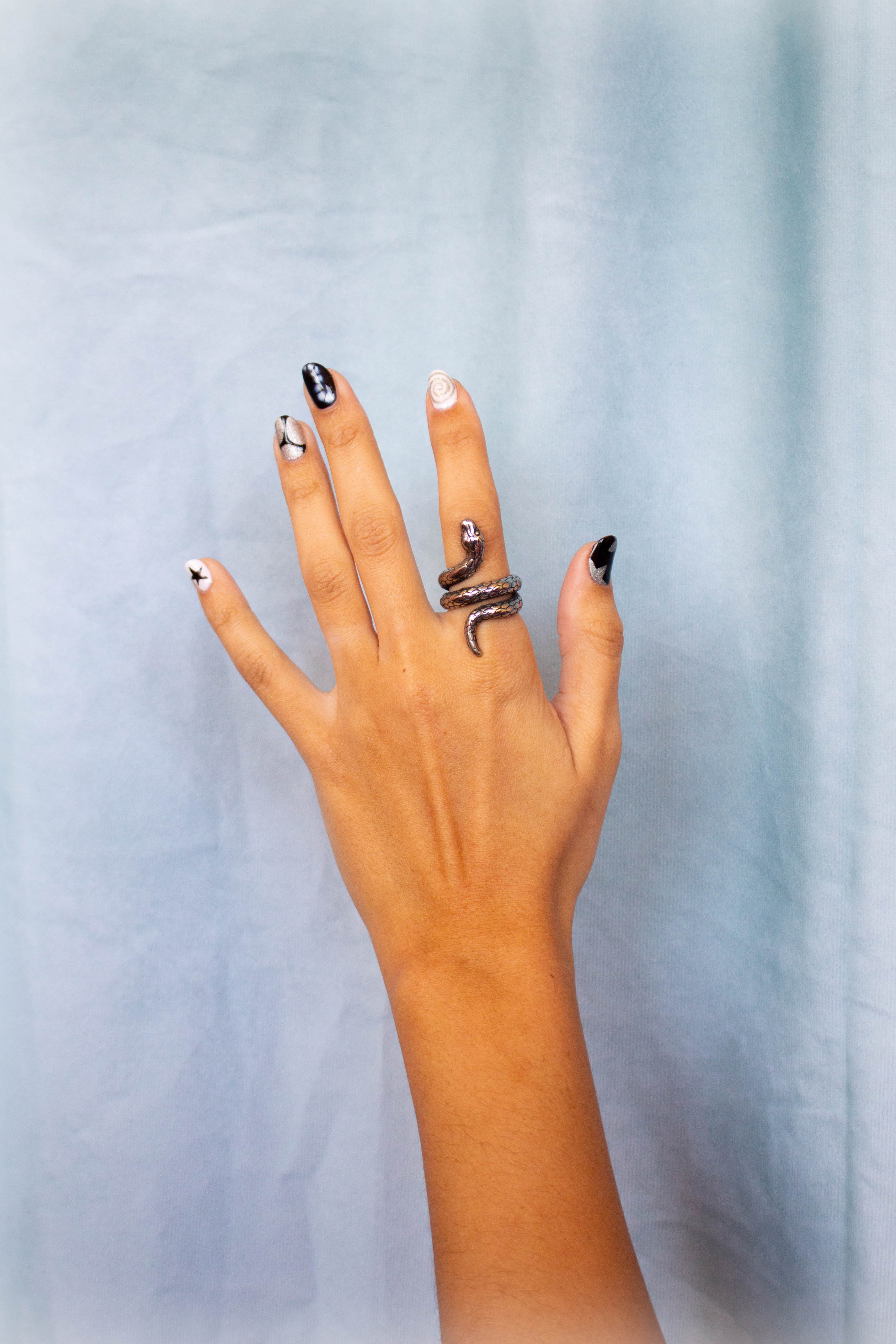 Titanium Snake Ring