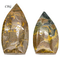 Ocean Jasper Flames / 3" AVG - 1 LB. LOT