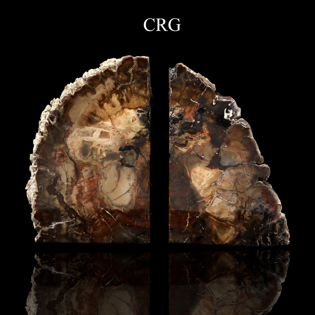 Petrified Wood Bookends / 3-4 KG AVG - 1 PAIR