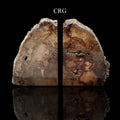 Petrified Wood Bookends / 3-4 KG AVG - 1 PAIR