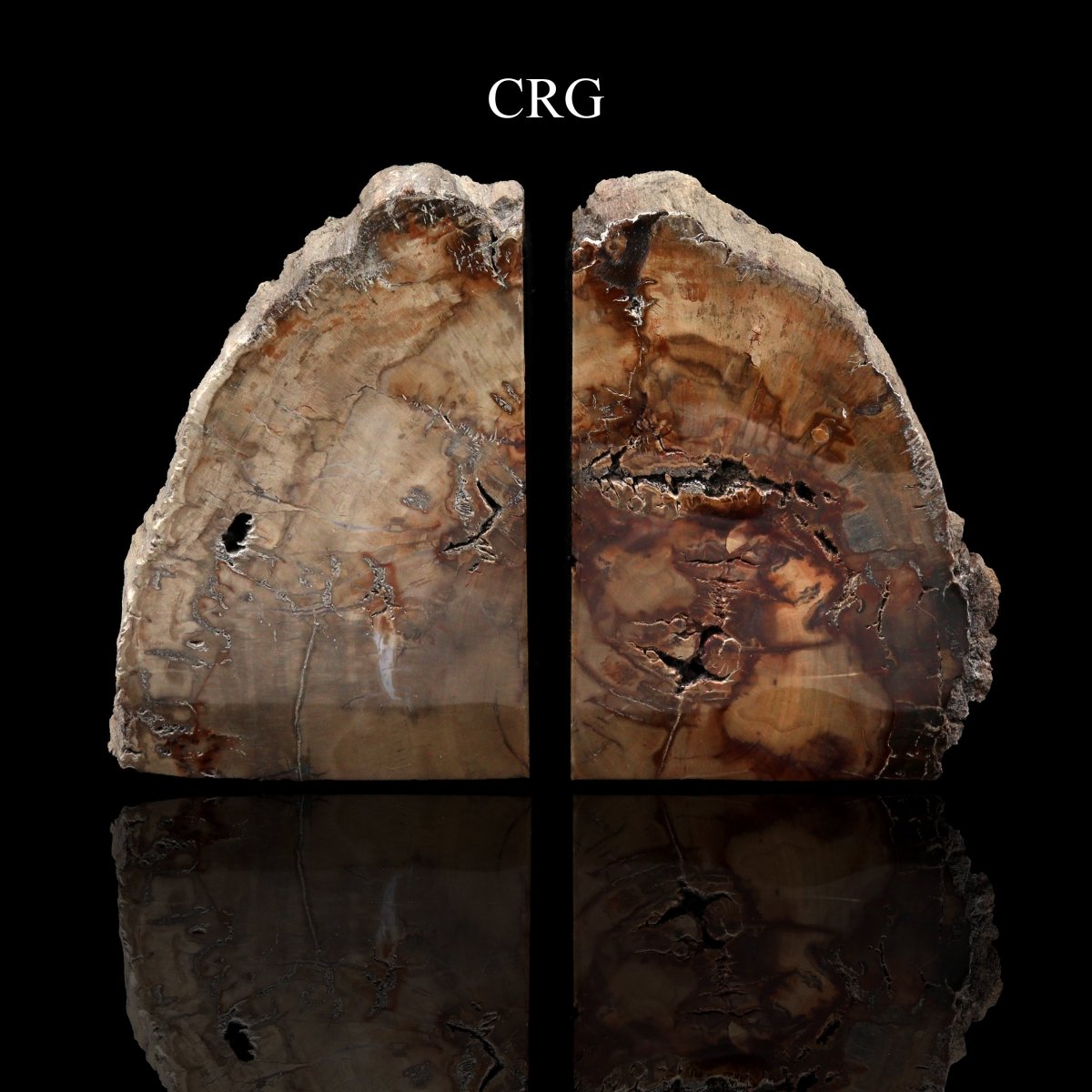 Petrified Wood Bookends / 3-4 KG AVG - 1 PAIR