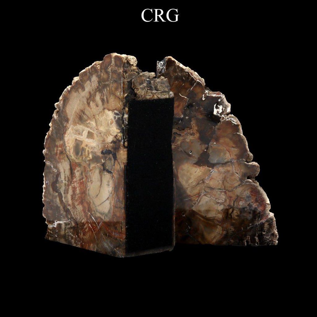 Petrified Wood Bookends / 3-4 KG AVG - 1 PAIR