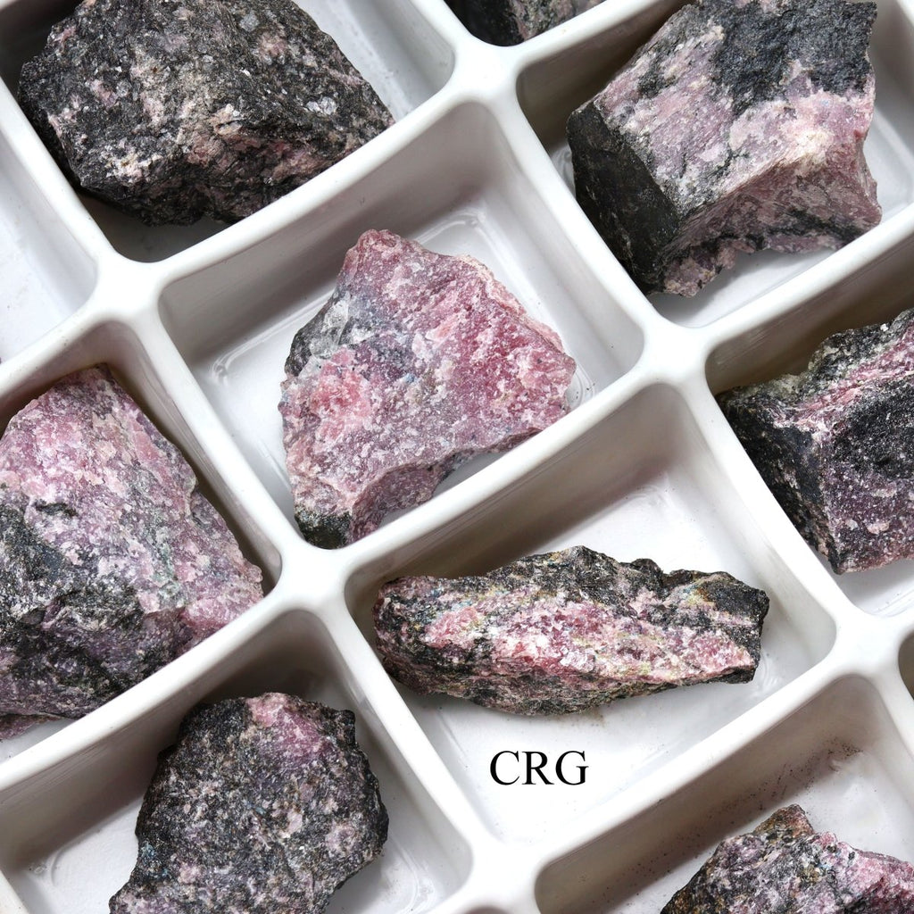 24 PIECES - Rough Rhodonite Wholesale Flat / 1-1.5" AVG