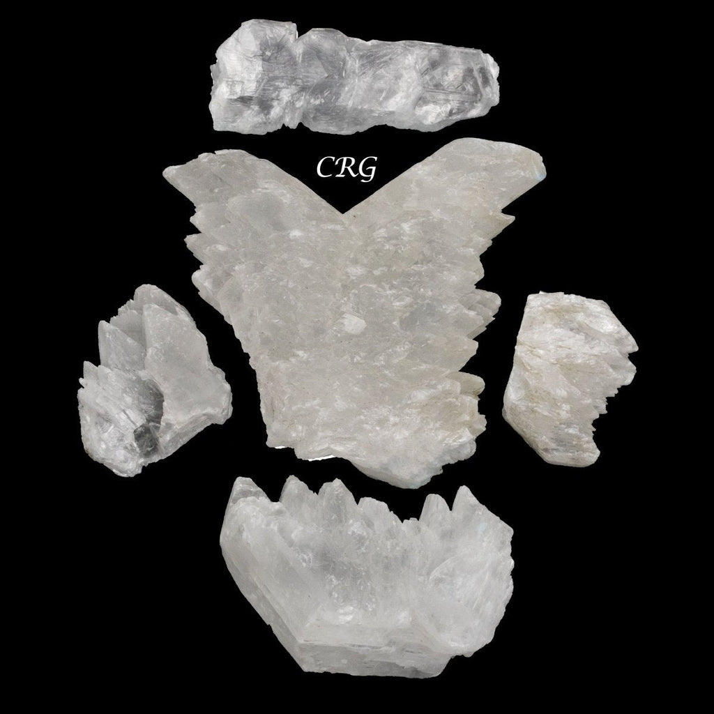 Fishtail Selenite 2 to 5 Inches (1 Kilo)