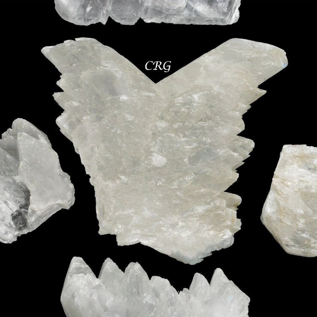 Fishtail Selenite 2 to 5 Inches (1 Kilo)