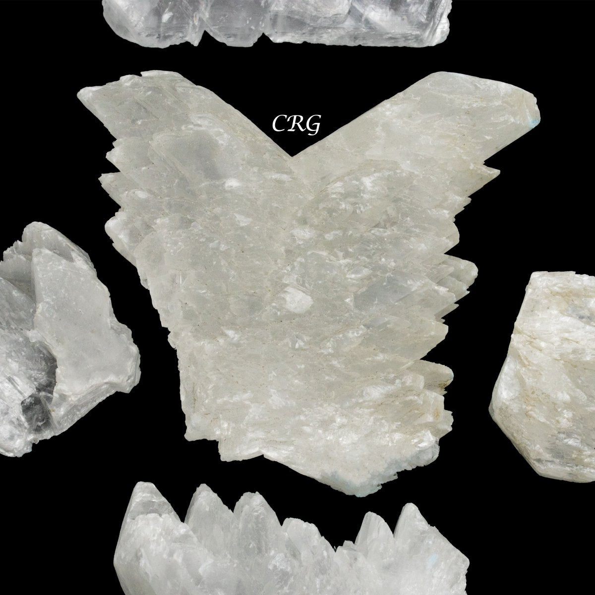 Fishtail Selenite 2 to 5 Inches (1 Kilo)