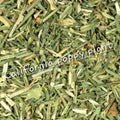 California Poppy | Calming Sleep Support & Nervous System Relief