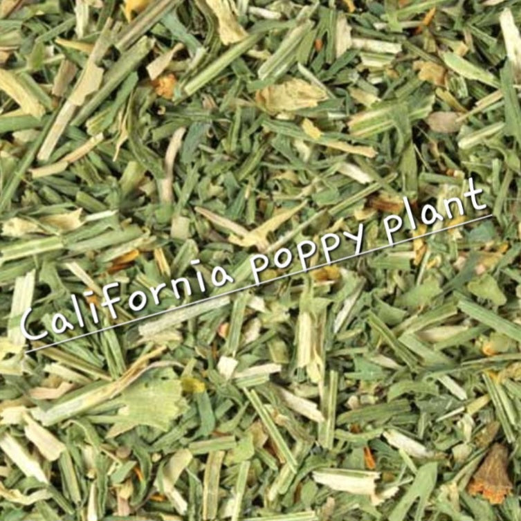 California Poppy | Calming Sleep Support & Nervous System Relief