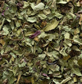 Echinacea (Echinacea purpurea)
