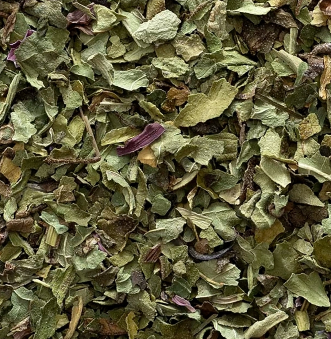 Echinacea (Echinacea purpurea)