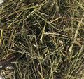 Canchalagua | Blood Cleanser & Skin Health