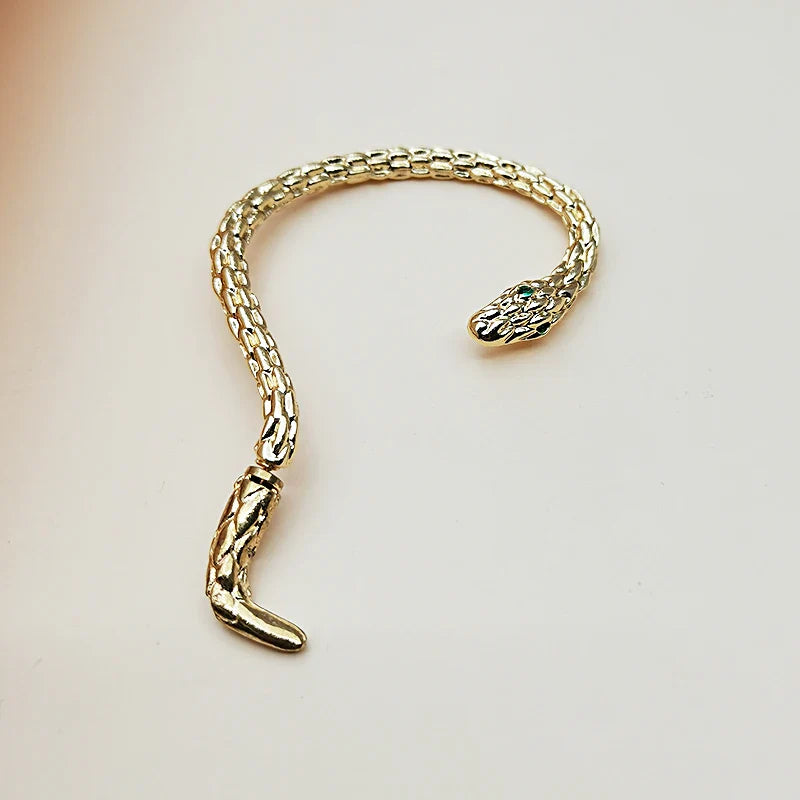Personalized Gothic Winding Snake Shaped Ear Clip Earrings, Trendy Avant-garde Hip-hop Party Charm, Women's Jewelry Accessories