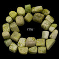 Tumbled Serpentine / 1-2" AVG - 1 KILO LOT