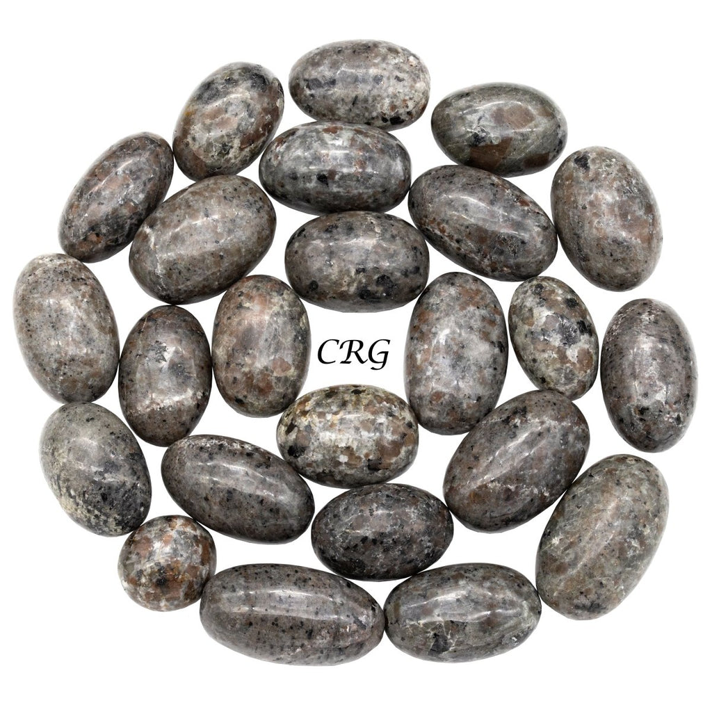 Tumbled Sodalite Syenite / 1.5" AVG - 1 KILO LOT
